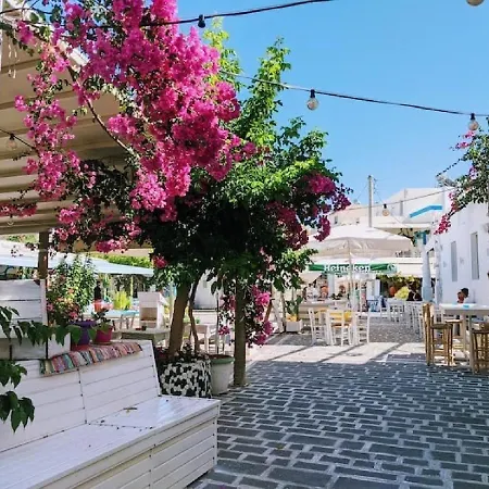 Zoes Apartment Kos Town